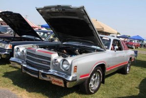 IMG_1313 (1024x683).jpg