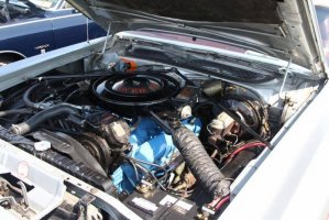 IMG_1314 (1024x683).jpg