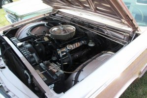 IMG_1331 (1024x683).jpg