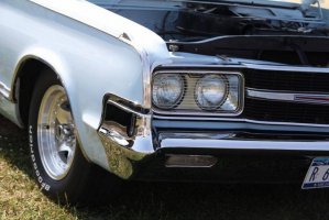 IMG_1340 (1024x683).jpg