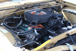 IMG_1344 (1024x683).jpg