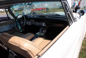 IMG_1360 (1024x683).jpg