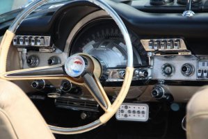 IMG_1367 (1024x683).jpg