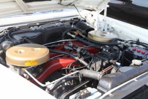 IMG_1368 (1024x683).jpg