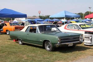 IMG_1371 (1024x683).jpg