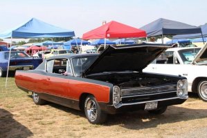 IMG_1372 (1024x683).jpg