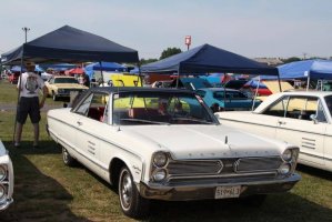 IMG_1374 (1024x683).jpg