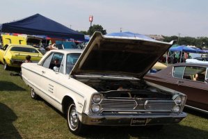 IMG_1376 (1024x683).jpg