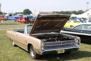 IMG_1378 (1024x683).jpg