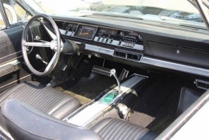 IMG_1379 (1024x683).jpg