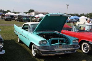 IMG_1384 (1024x683).jpg