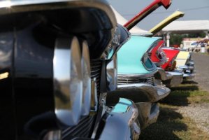 IMG_1386 (1024x683).jpg