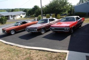 IMG_1416 (1024x683).jpg