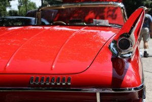 IMG_1887 (1024x683).jpg