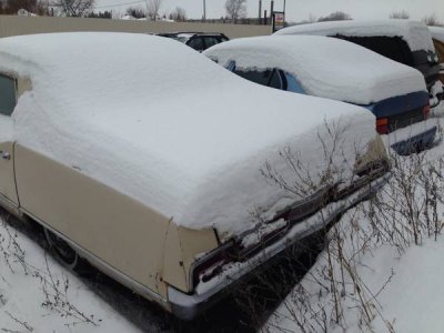 00a0a_6wHA77HXeWb_600x450.jpg 00a0a_6wHA77HXeWb_600x450.jpg