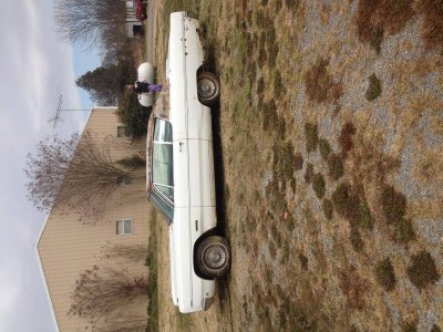 photo 1.jpg photo 1.jpg