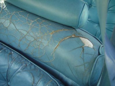 DSC02005.jpg DSC02005.jpg