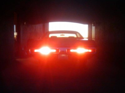 2010-11-05 18.53.44.jpg