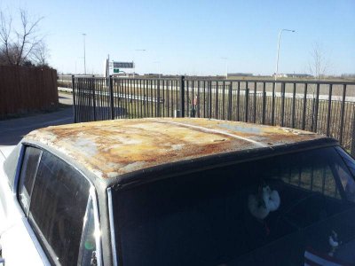 baldroof.jpg baldroof.jpg