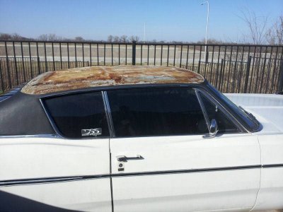 baldroof_side.jpg baldroof_side.jpg