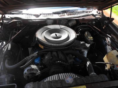 DSCF0224.jpg DSCF0224.jpg