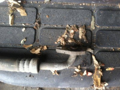 IMG_1140.jpg IMG_1140.jpg