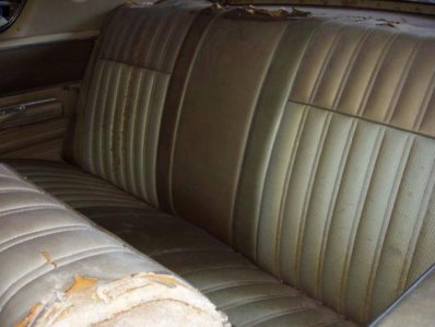 P1011094.jpg P1011094.jpg