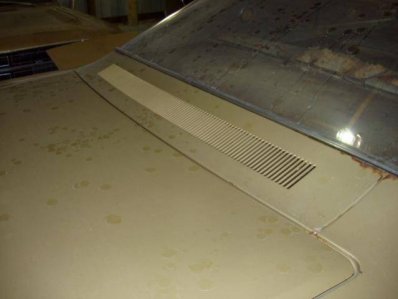 P1011007.jpg P1011007.jpg