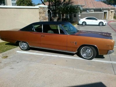 CAM00249.jpg CAM00249.jpg