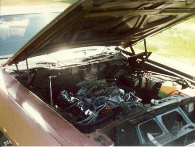 106559 1986 multi carb.jpg 106559 1986 multi carb.jpg