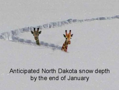 Real Deep Snow JT.jpg