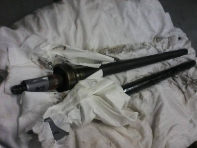 0301141116-00.jpg 0301141116-00.jpg