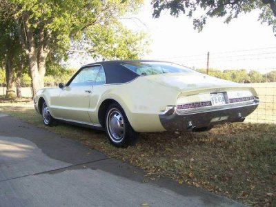 Toro back 600x450.jpg