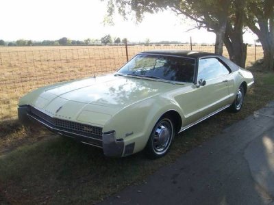 toro front _600x450.jpg