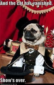 showsvoer.jpg showsvoer.jpg