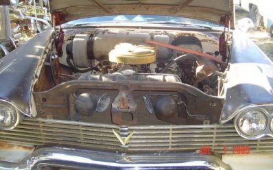 fins etc. 005.jpg fins etc. 005.jpg