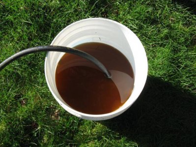 IMG_0490.jpg IMG_0490.jpg