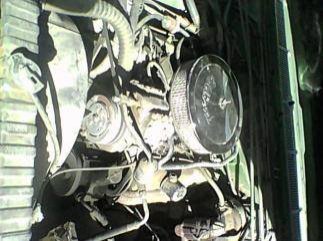 imperiamino.jpg imperiamino.jpg