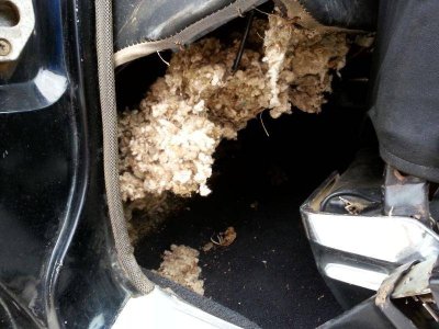 20140316_102007.jpg 20140316_102007.jpg