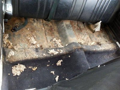 20140316_102531.jpg 20140316_102531.jpg