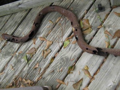 exhaust 001.jpg exhaust 001.jpg