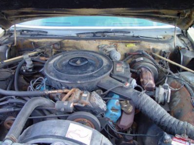 DSC02974.jpg DSC02974.jpg