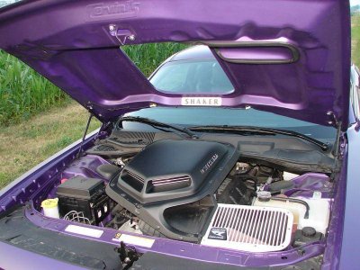 DSC05019.jpg DSC05019.jpg