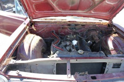 IMG_1175.jpg IMG_1175.jpg