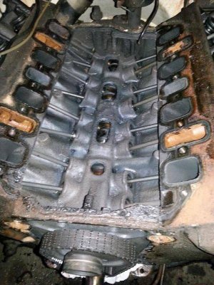 1958509_10202889084979503_90468087_n.jpg 1958509_10202889084979503_90468087_n.jpg