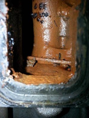 1506992_10202889066939052_201032464_n.jpg 1506992_10202889066939052_201032464_n.jpg