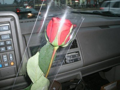 GEDC0153.jpg GEDC0153.jpg