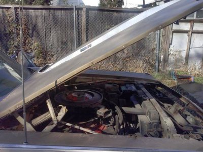 00505_8LzaCdDLXWR_600x450.jpg 00505_8LzaCdDLXWR_600x450.jpg