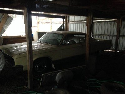 IMG_0727.jpg IMG_0727.jpg