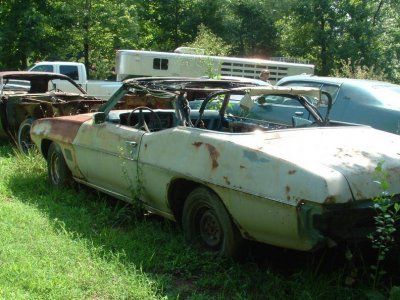 DSCF1917.jpg DSCF1917.jpg